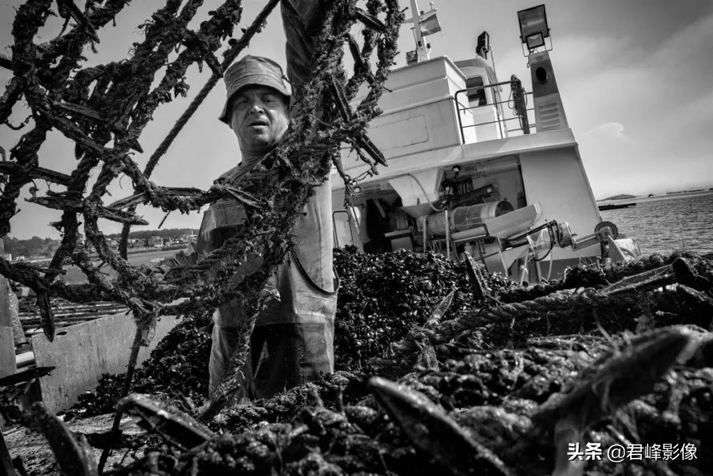 最顶级扫街相机徕卡sl2,徕卡sl2视频功能怎么设置