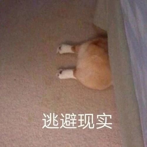 web前端初学者面试题,拧螺丝面试测试题