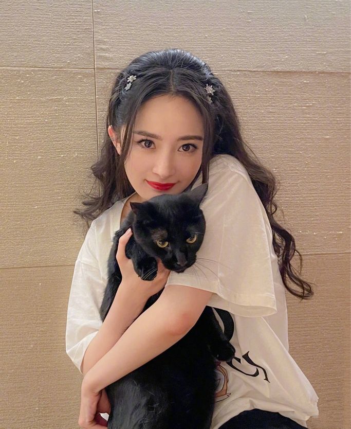 杨幂漫画腰道歉后续,央视网评杨幂漫画事件