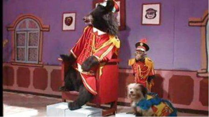 尘封的宝藏，童年的记忆：《动物王国窃案》及那些被遗忘的神作