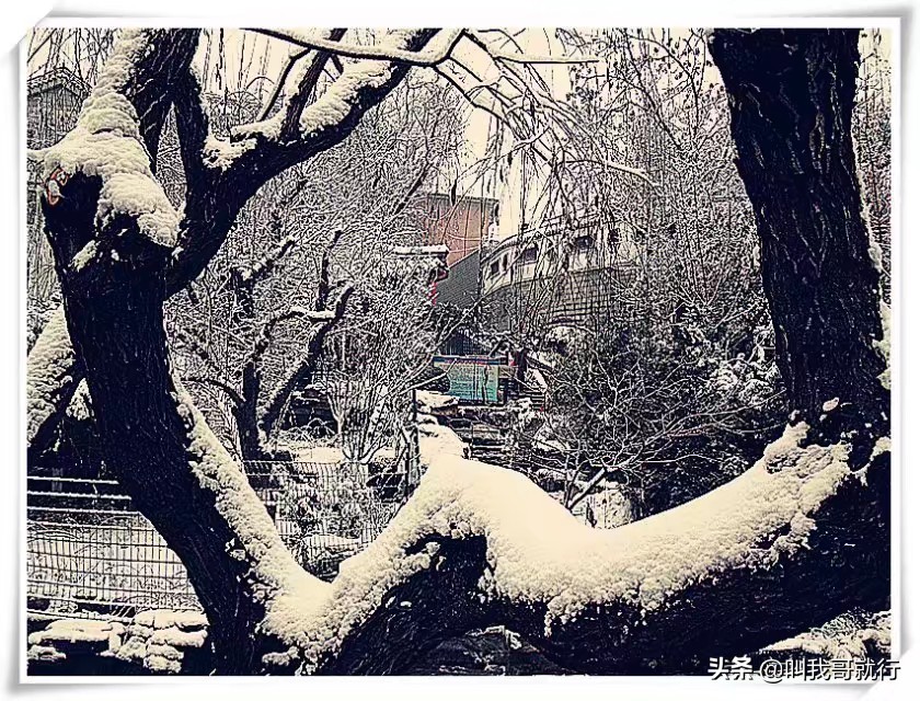 济南的冬天老舍,济南的冬天普通话朗读