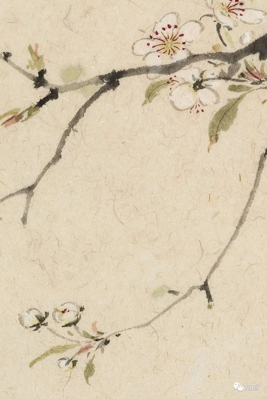 春天的脚步近了好像一切都醒来了,春天的脚步已经悄然而至