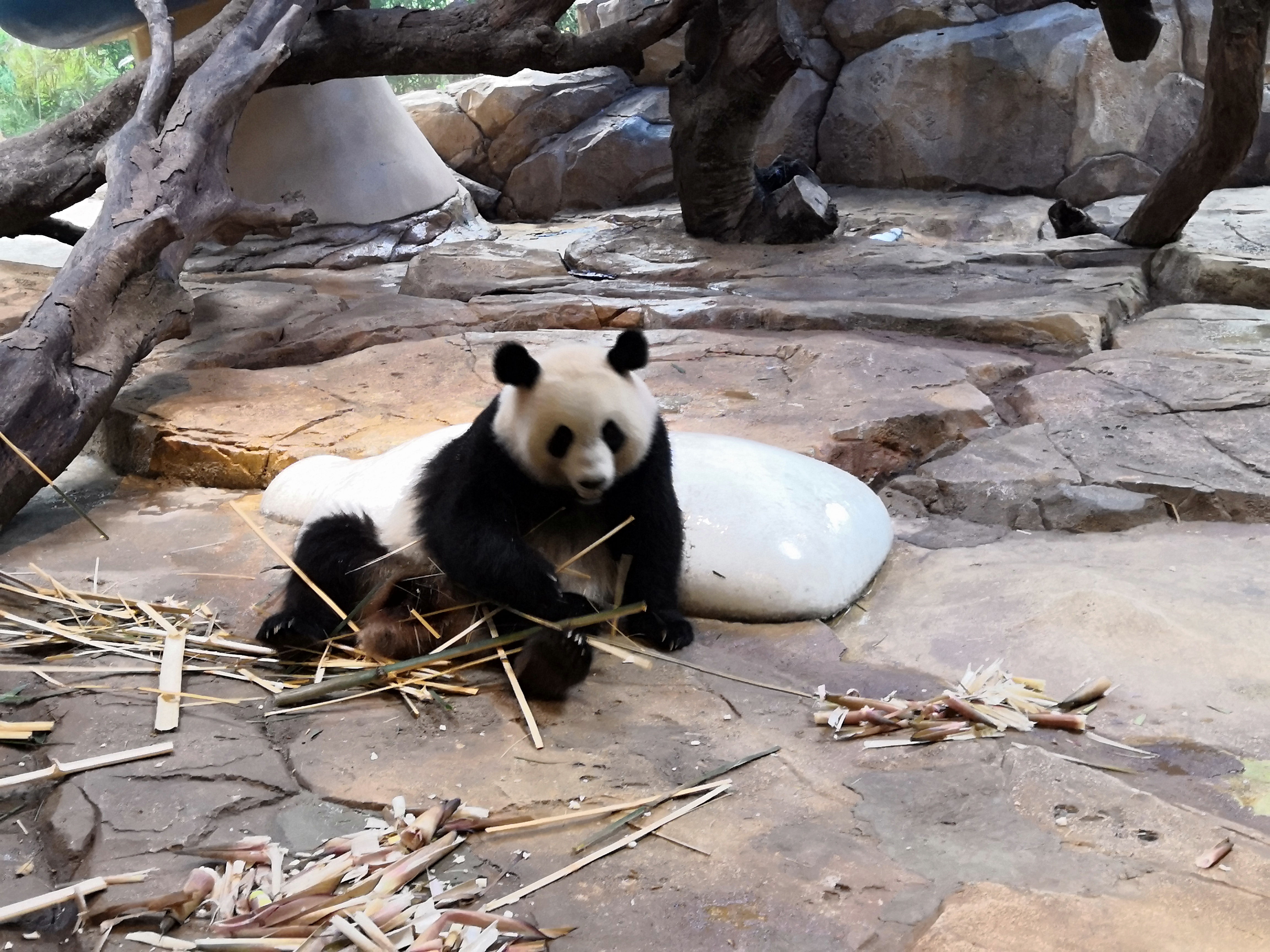 广州及珠海长隆3天2夜亲子游攻略,从广州长隆到珠海长隆亲子游攻略