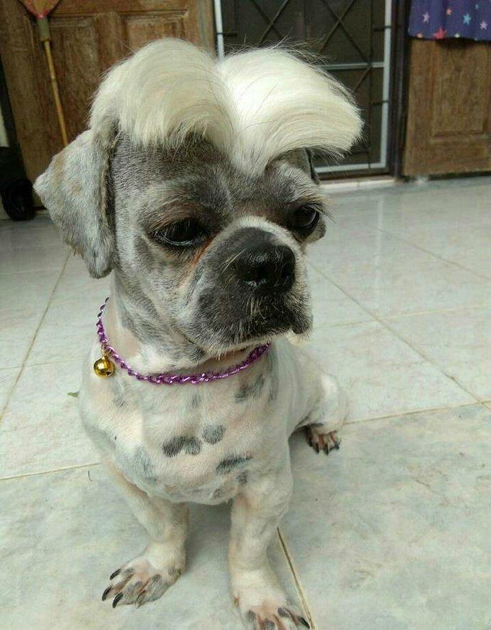 “兄弟睡觉压得胳膊都变色了，要不要叫醒他？”醒来一定很酸爽