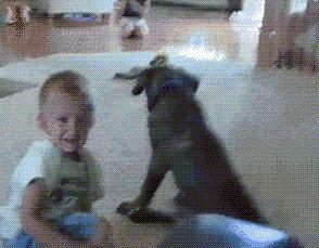 狗狗被孕妈肚子里的宝宝踢了一脚,狗狗怀孕宝宝踢肚子会生吗