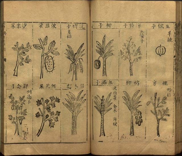 李时珍本草纲目书目录,李时珍本草纲目下卷