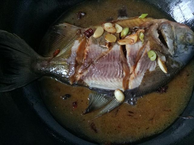 红烧海鲳鱼教程,红烧鲳鱼的做法视频王刚