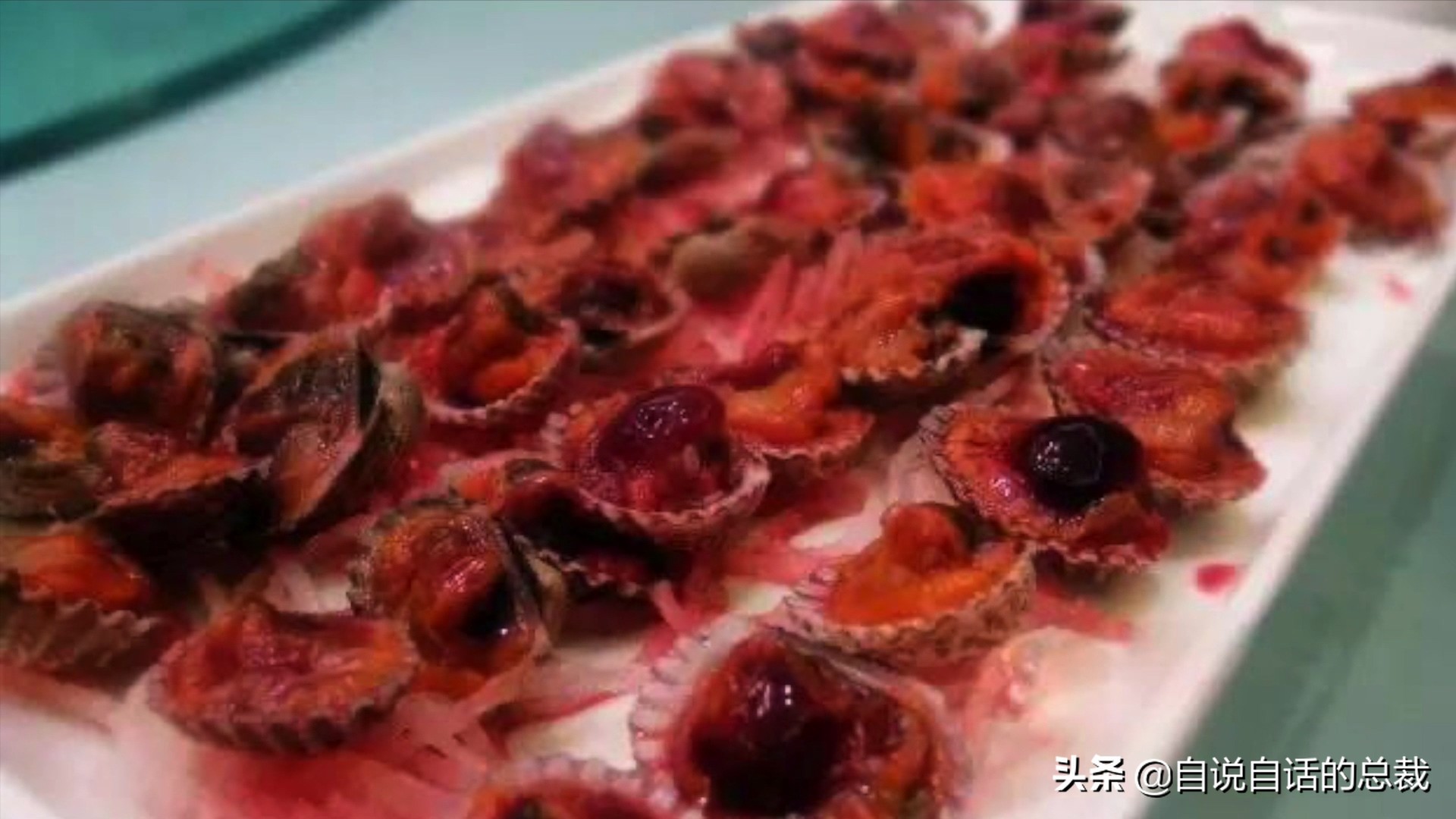 蚬蚌蛏的区别是什么,蚶子蛤蜊蚬子区别