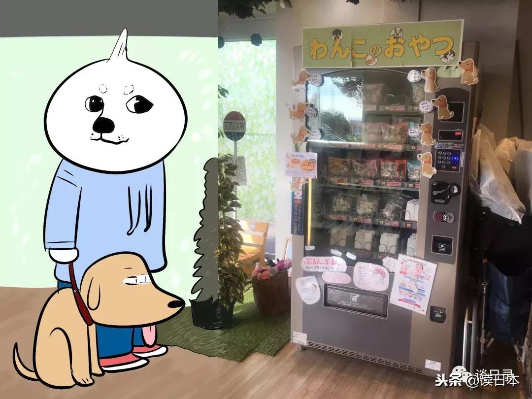 日本人去中国旅游不能去的地方,日本人少的旅游景点