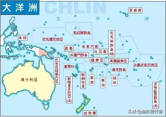 苏里南北海鱼胶和委内瑞拉鱼胶,北海公鱼胶好还是北海母鱼胶好