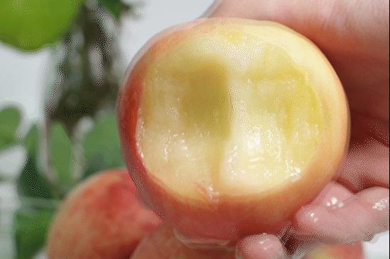 好吃的水蜜桃新品种,好吃的水蜜桃上市了