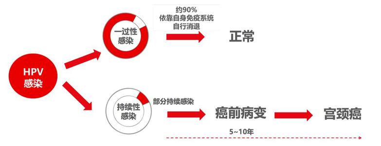 预防宫颈癌重视癌前病变,感染哪几种hpv病毒容易得宫颈癌