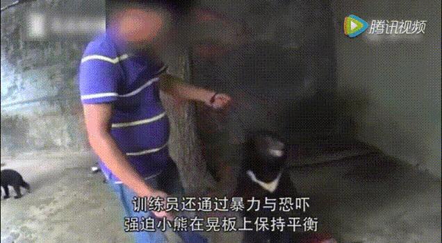 每个生命都值得被虐待,任何生命都不该被虐待