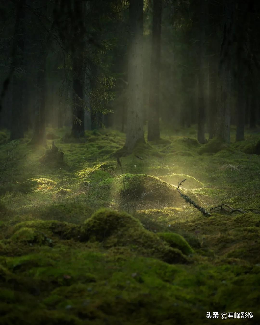 哈苏xcd必买的三枚镜头,哈苏最推荐的xcd镜头