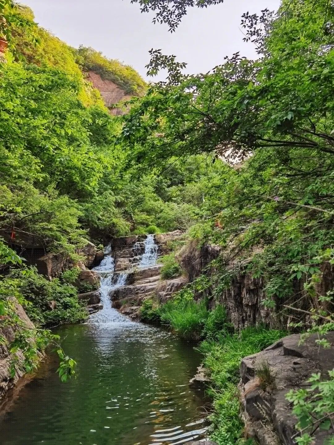 去河南旅游先去洛阳还是开封玩,河南洛阳旅行