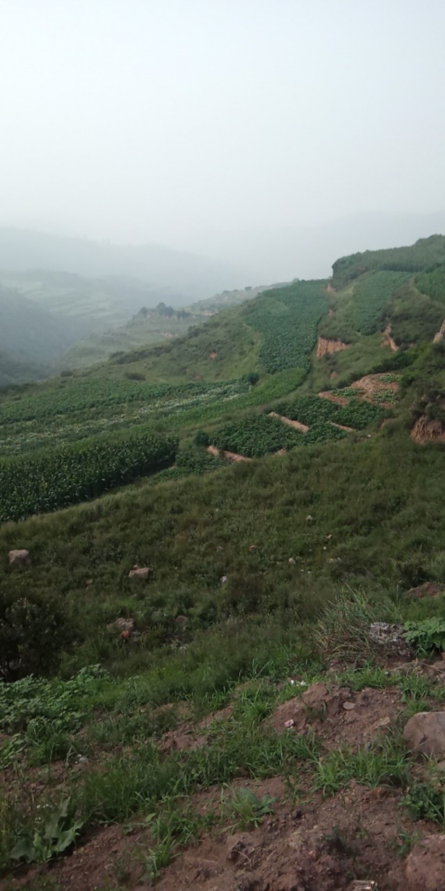 送车的艰辛过程,什么时候适合送车