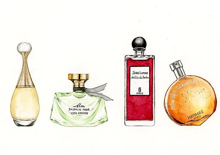 家庭环境香水选择 (怎样分辨家庭香水)