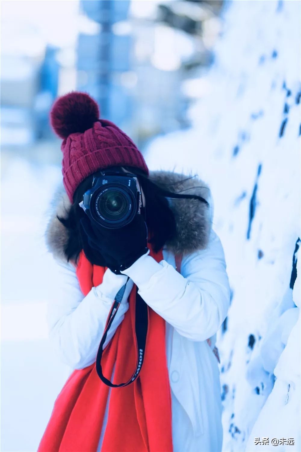 在日本坐新干线怎么坐划算,东京站到镰仓一日游最佳攻略