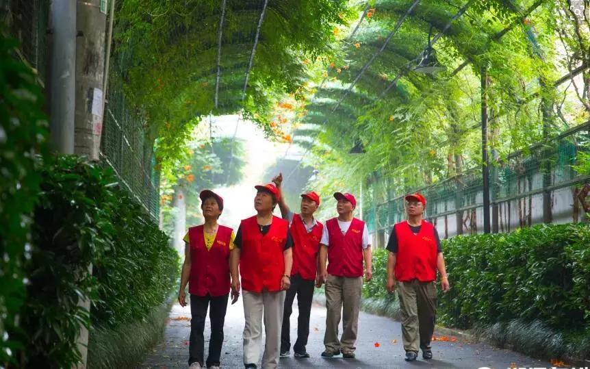 首创！什么是最满意工作？半山社工履职评价等你投票来决定