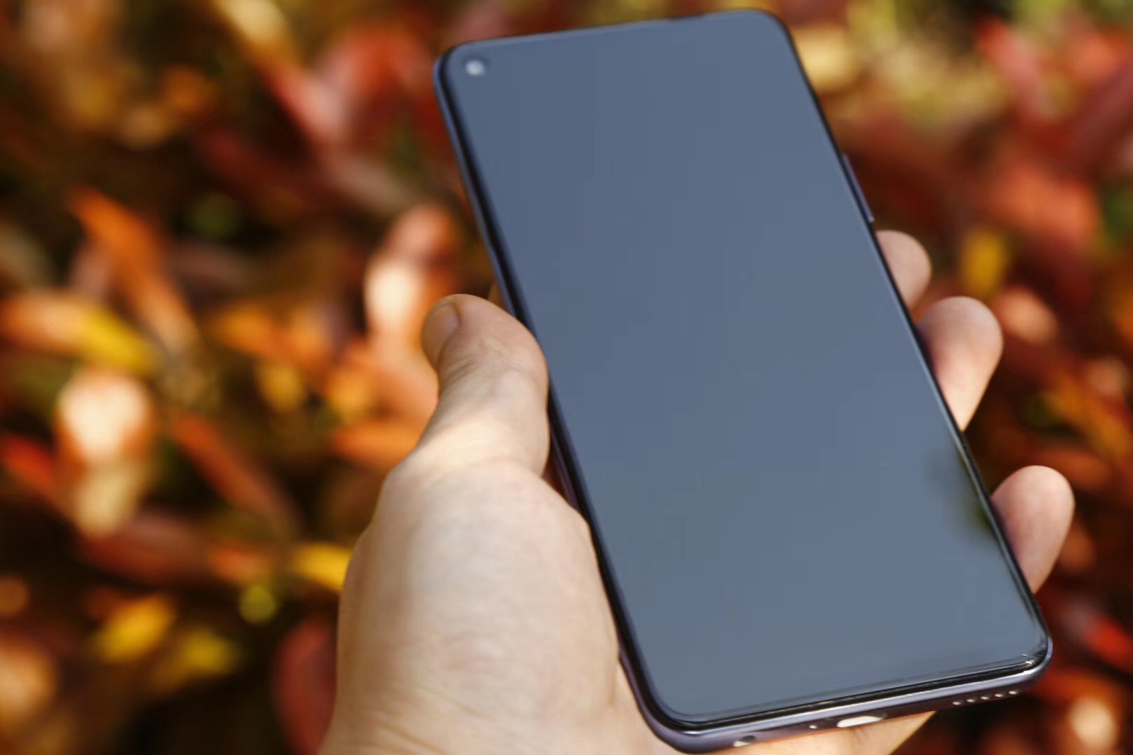 荣耀30s放大20倍拍照评测,荣耀30s测评大米