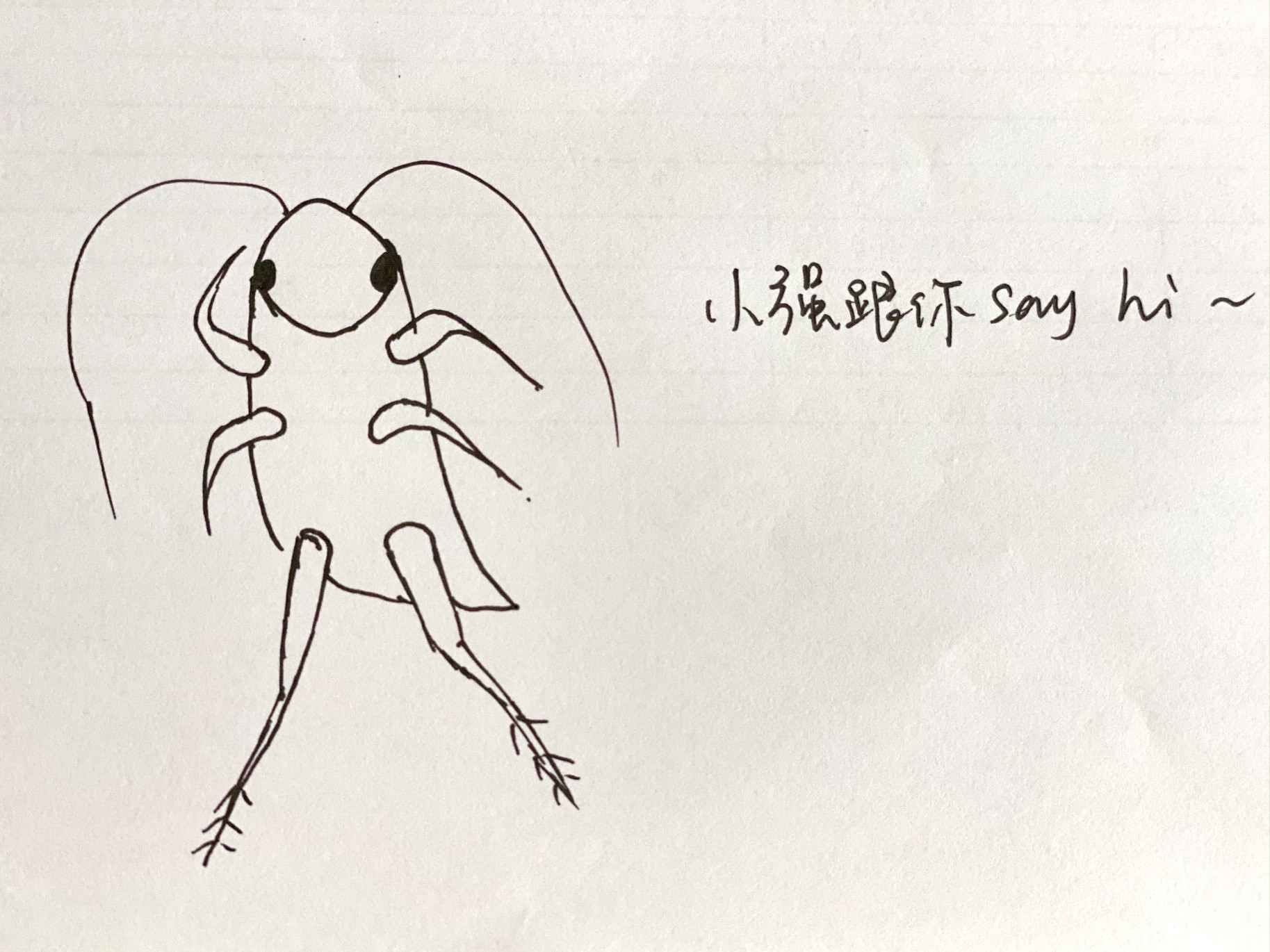 胆小者慎入！让*男猛**落泪的“南方小强”，为什么在中原频频出现？