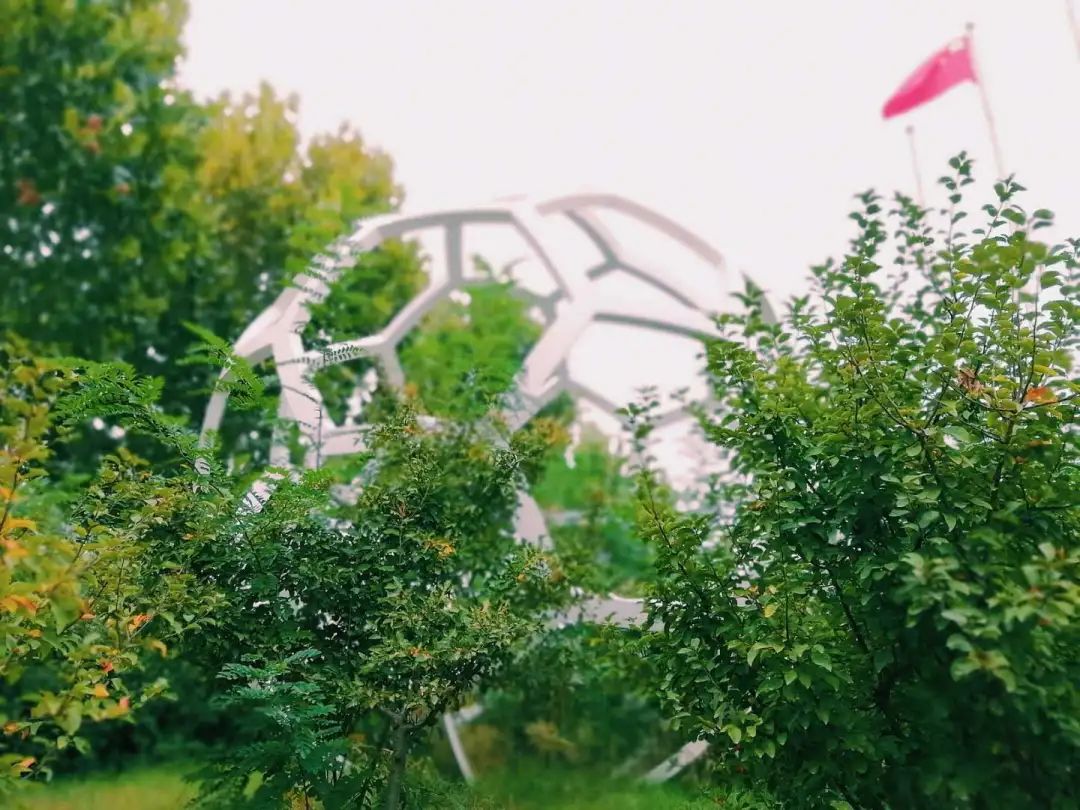 优微推荐｜致萌新，这些农大最美的地方，你发现了吗