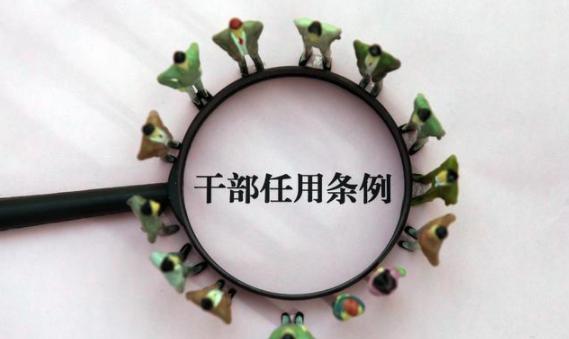 行政管理乱象,事业单位机构改革现状