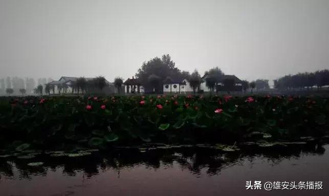 雄安值得一去吗,雄安最值得去的地方