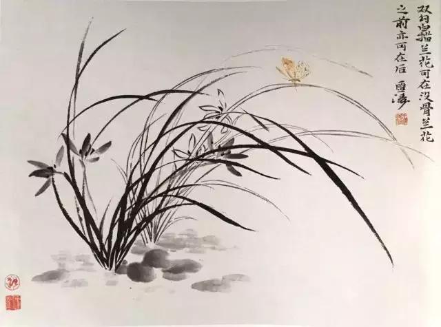 如何画兰花最好看的,君子兰花如何画