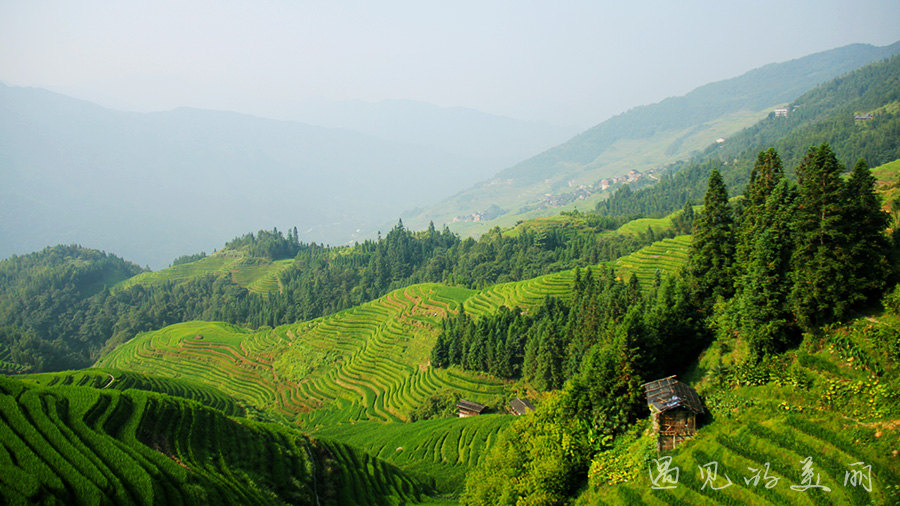 龙脊梯田风景区被破坏过吗,桂林龙脊梯田最全攻略