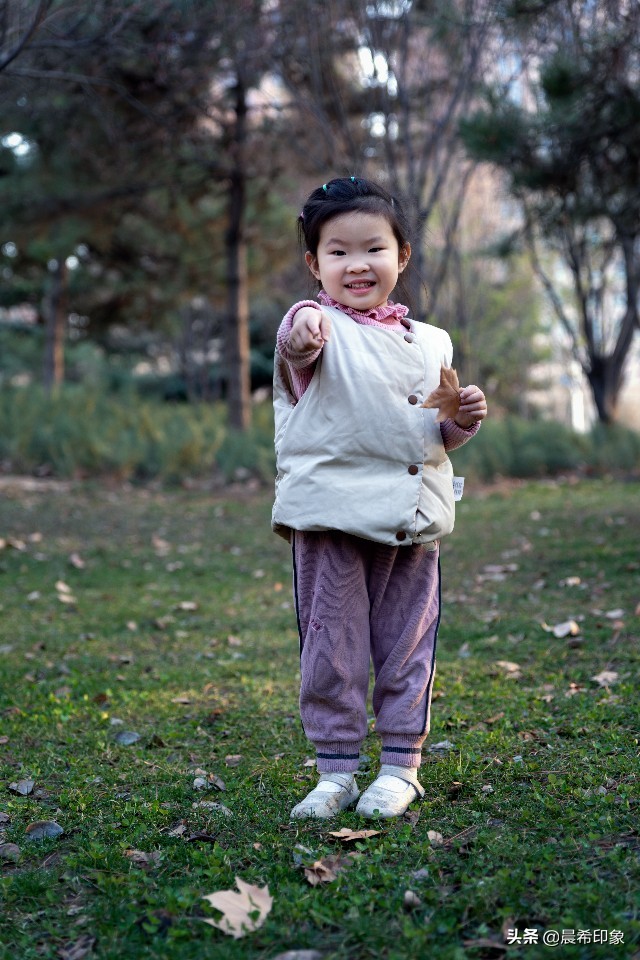 我的第一台相机作品,单反入门级相机推荐