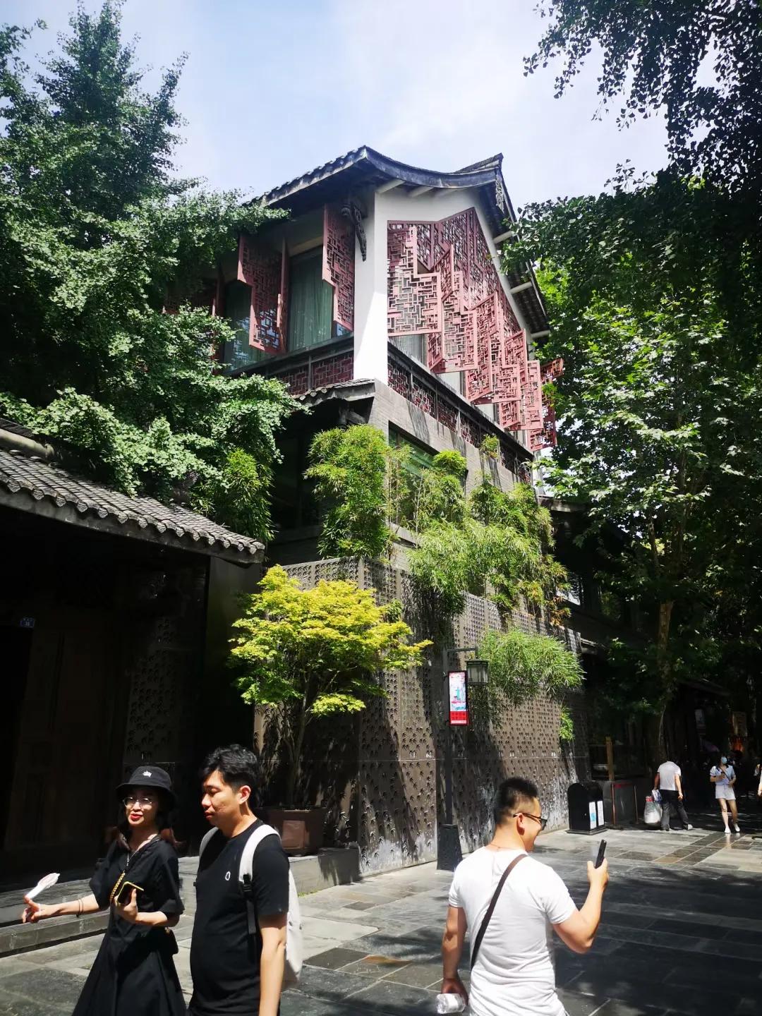 杭州灵隐寺千年古树,灵隐寺里面的树是啥树