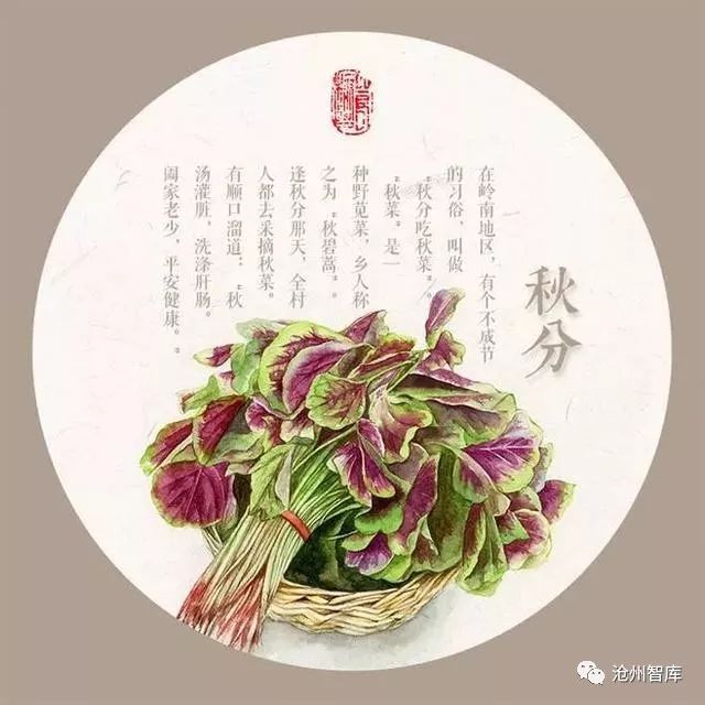 秋分节气是中国的农民丰收节,丰收节是秋分的节气吗