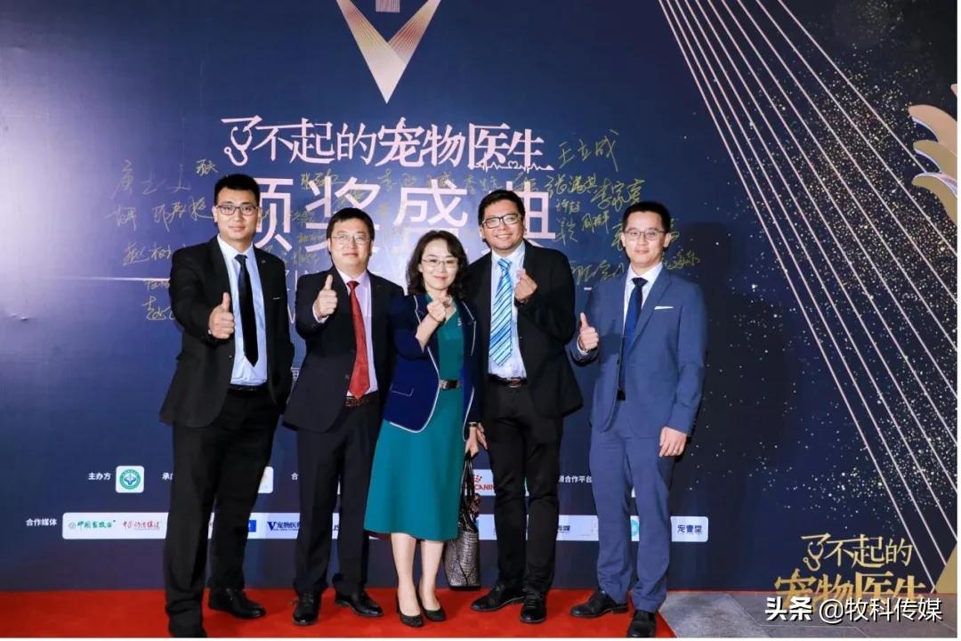 初心如磐笃行致远中国人寿,初心如磐笃行致远军训落幕篇