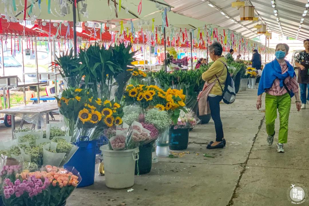 昆明鲜花进货渠道,昆明尚义花市