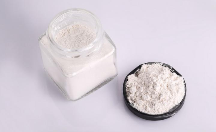 泰迪发奶要吃什么,泰迪春天注意什么