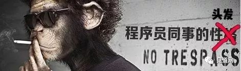 非洲姑娘的假发自由