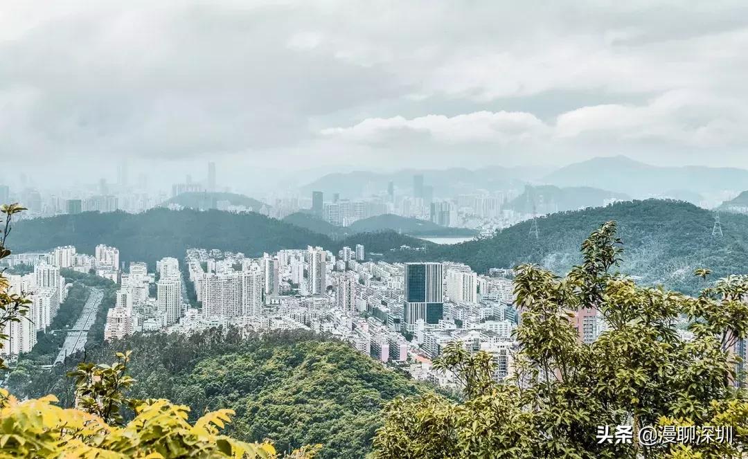 深圳空气中氡含量全国第一,深圳市负氧离子大概是多少