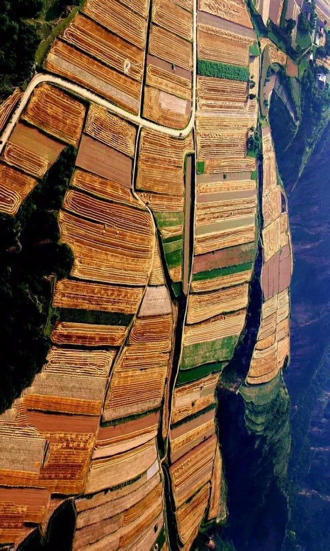 庆阳历史有多久,庆阳历史悠久的古城