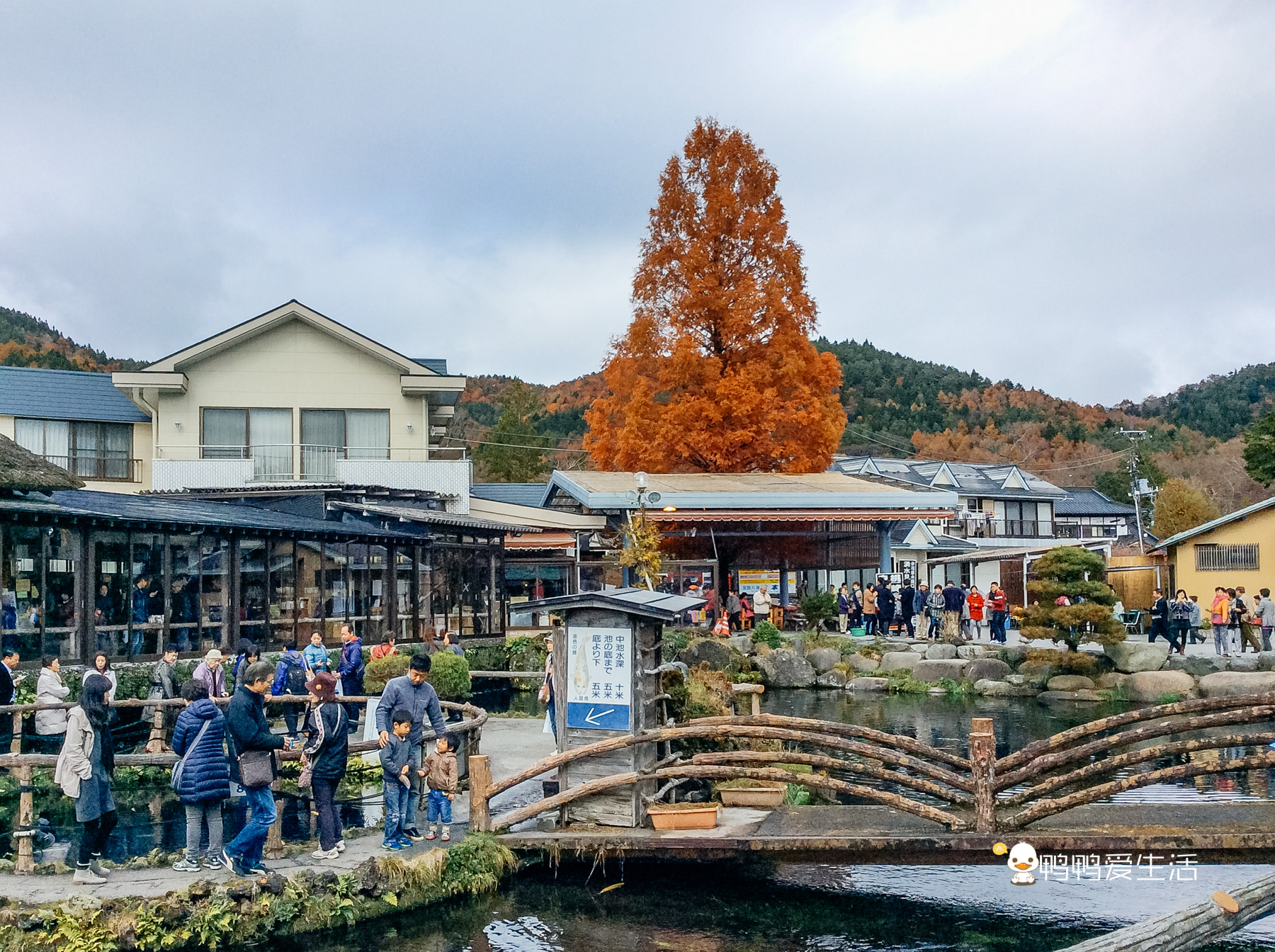 日本“小九寨”藏在富士山下，5月起繁花盛开，还能把泉水带回家