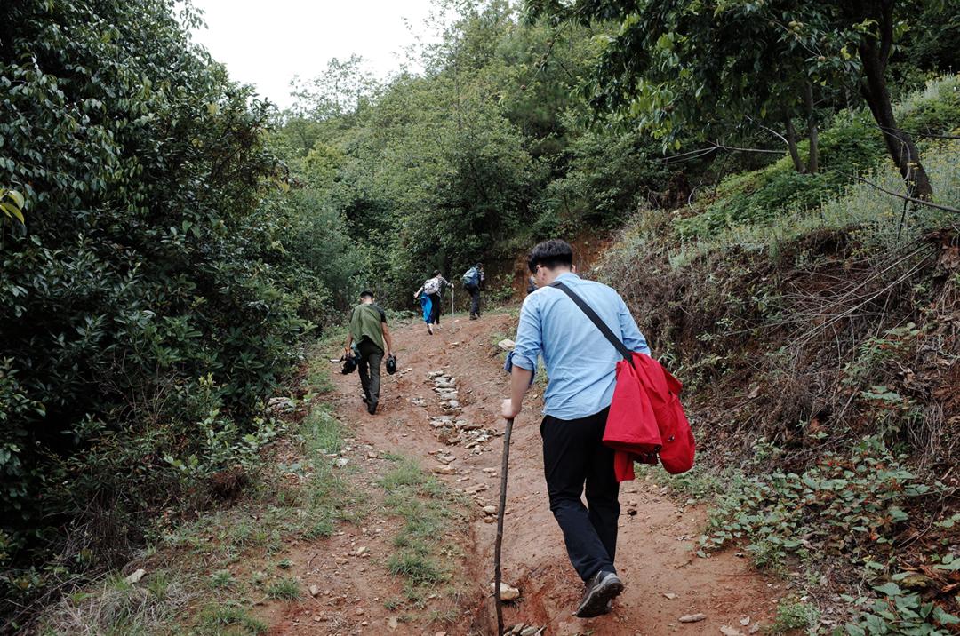 吃毒菇、睡蛇窝,只为挖一堆草,这个重庆博士要做当代神农