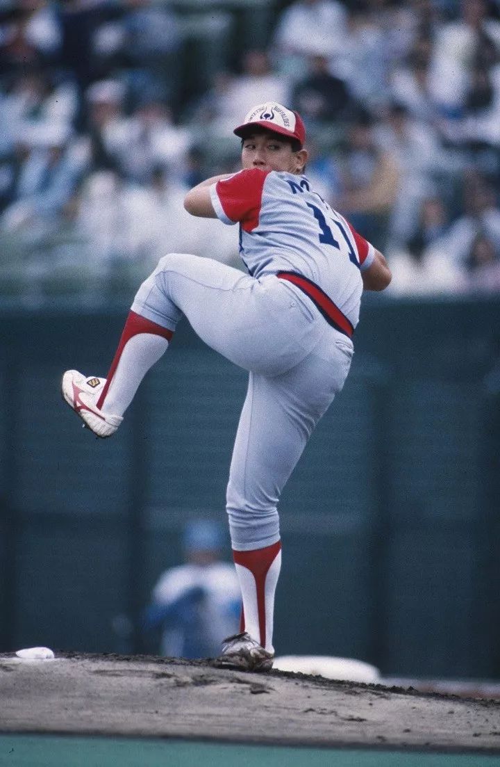 鏃ユ湰妫掔悆杞細鍒跺害,妫掔悆鑱旂洘杞細