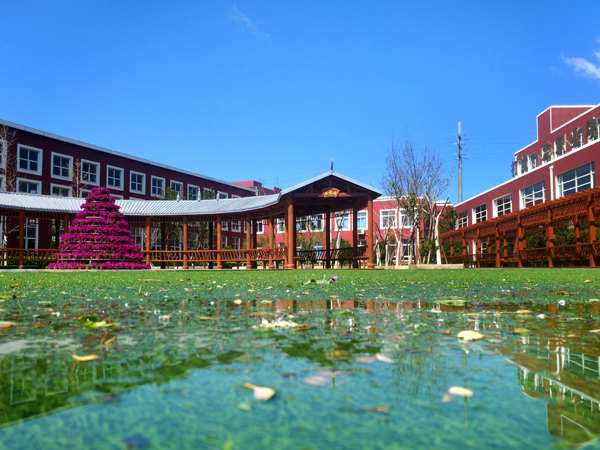 大连中港通关学校,大连中港职业技术学校录取分