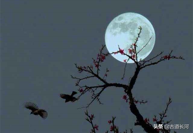 谁堪疫情赋诗情：　日暮乡关何处是，烟波江上使人愁