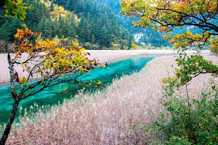 九寨沟游览路线攻略大全,九寨沟自由行最佳线路时间表图示