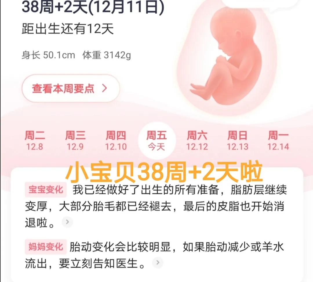 孕检39周胎心监测,孕38周检查羊水多