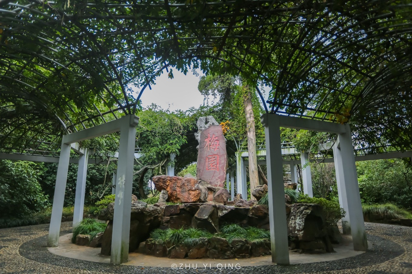 无锡梅园不只能赏梅,初秋近万亩百合花海盛放,小姐姐直呼太美了