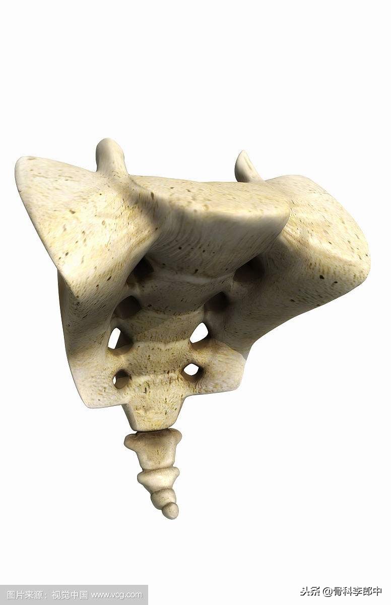 屁股蹲地上了尾骨很痛咋办,一个屁股蹲造成腰椎骨折