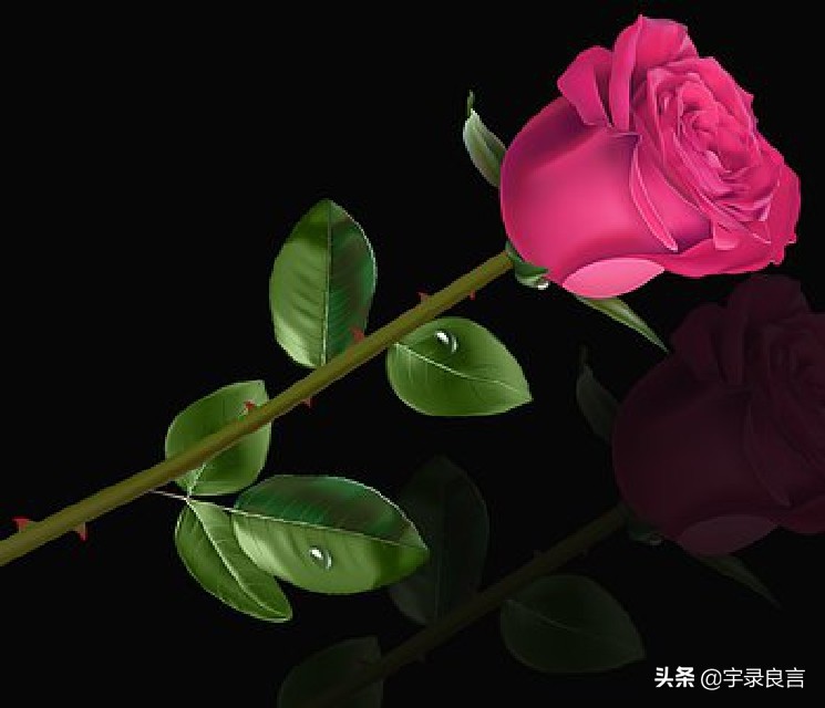 有深度有品位的短句子发朋友圈,有深度有品味的句子适合朋友圈