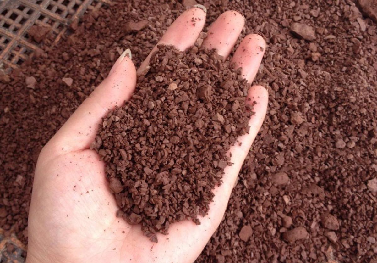 厨房经常出现的几种虫害,厨房里常见的七种害虫